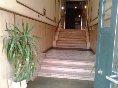 רומא Colosseo Suite Apartment מראה חיצוני תמונה